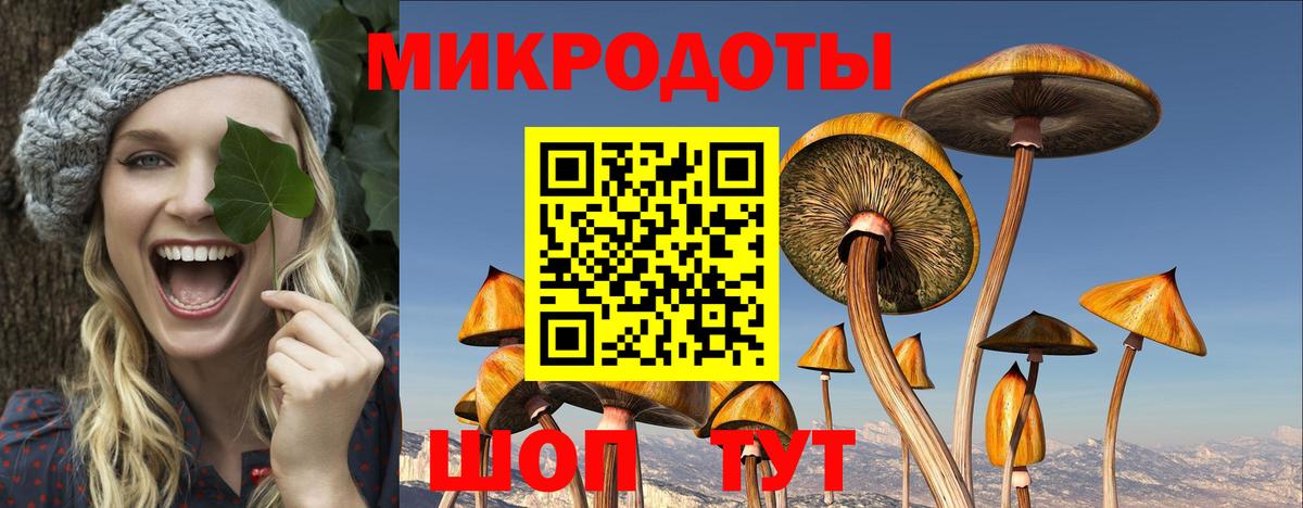 Псилоцибиновые грибы Psilocybine cubensis  Вход с VPN  Псилоцибиновые грибы мухоморы  Петропавловск-Камчатский 